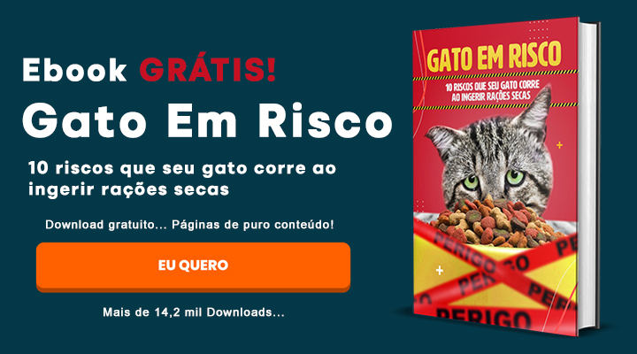 perigos da ração seca para gatos